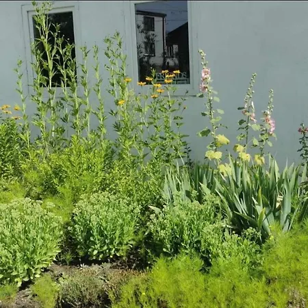 Stodola Appartement *