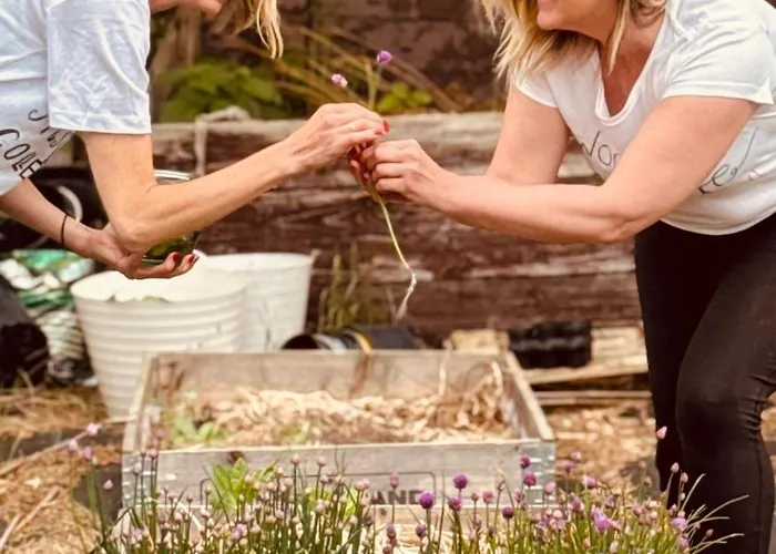 Stodola 아파트 Pogodki